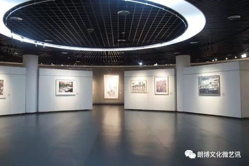 2017广西部分精彩展览服务回顾